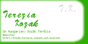terezia kozak business card
